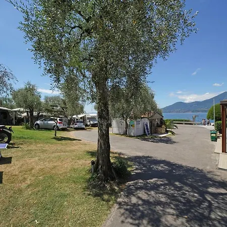 D' Oro * Torri Del Benaco