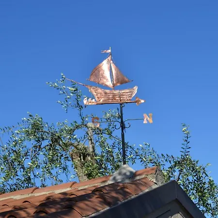 D' Oro * Torri Del Benaco